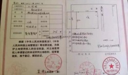 农村王先生最新爆料,揭秘农村发展新动向